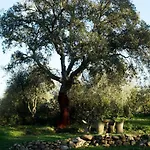 Molino Della Volta Alloggio per agriturismo