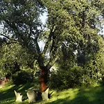 Molino Della Volta * Batignano