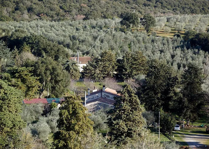 Molino Della Volta * Batignano