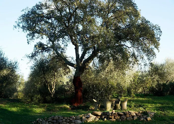 Molino Della Volta Çiftlik konaklama