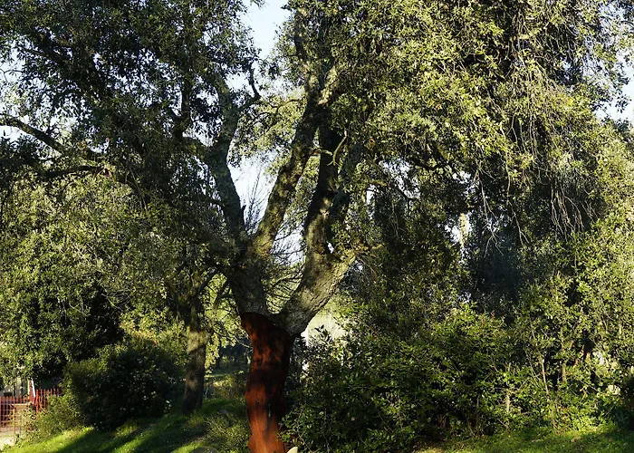 Molino Della Volta * Batignano