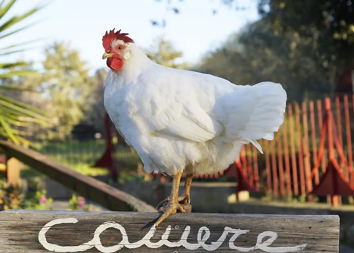 Molino Della Volta Çiftlik konaklama