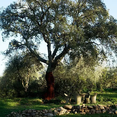 Molino Della Volta Farma