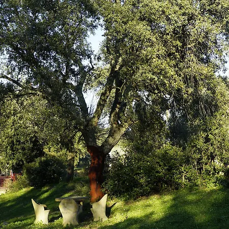 Molino Della Volta * Batignano