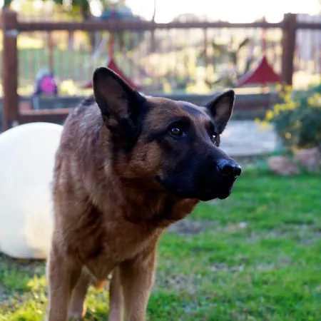 Molino Della Volta Batignano