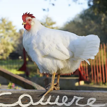 Molino Della Volta Bauernhof