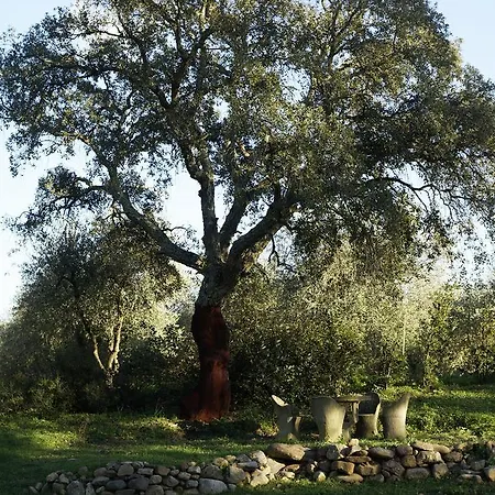 Molino Della Volta * Batignano