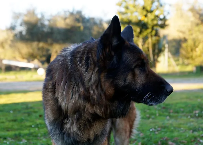 Molino Della Volta Farmház Batignano