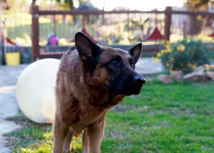 Molino Della Volta Batignano